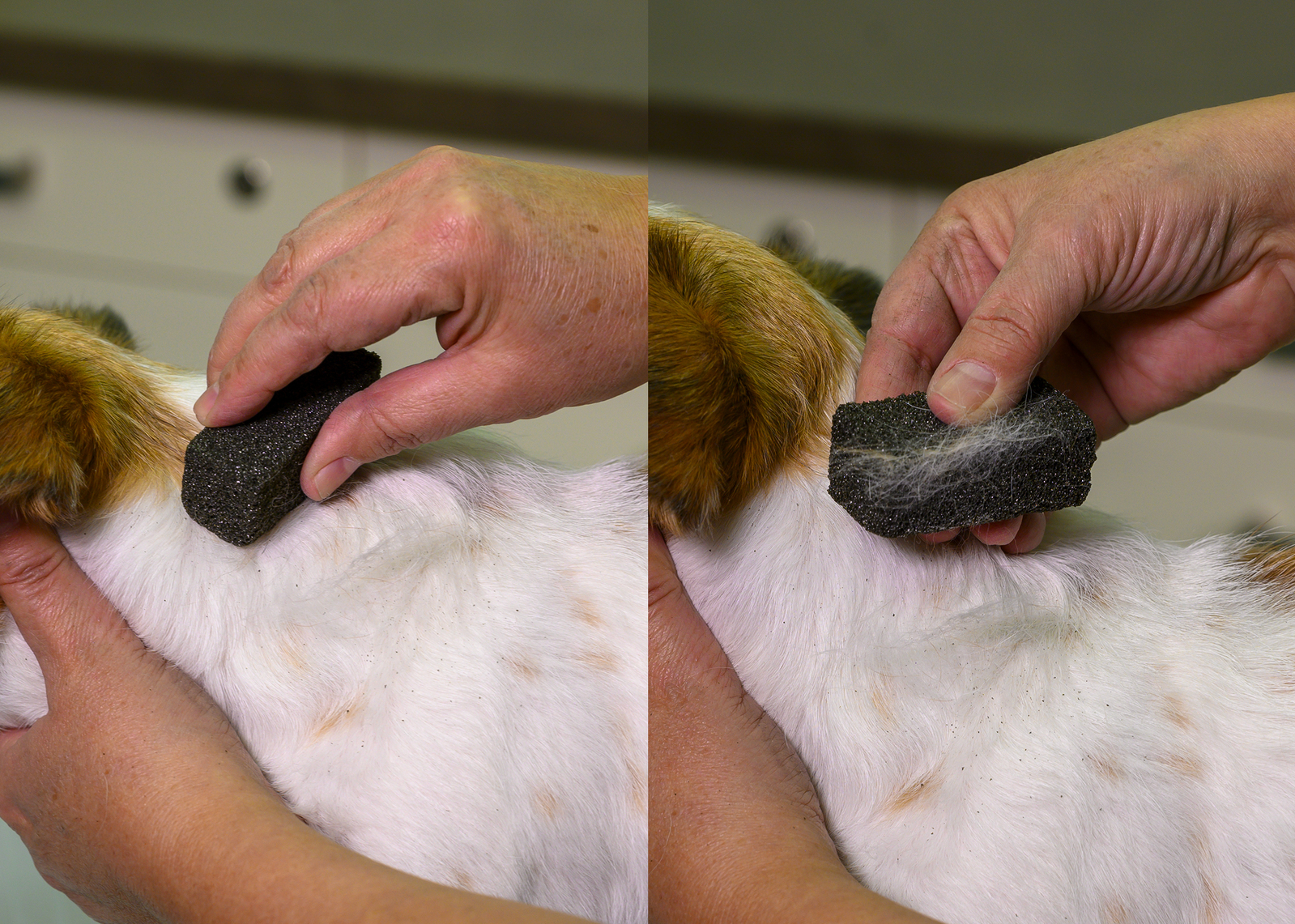 Show Tech Stripping Stone