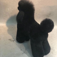 Opawz Model Dog WIG - Toy Poodle Show Dog Whole Body Wig BLACK