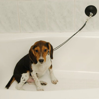 Proguard Stay & Wash Bath Dog Restraint - Noose style