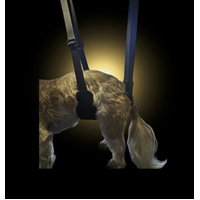 DBT Doggy Dignity Grooming Belly Band Harness