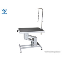 Large Hydraulic Professional Dog Grooming Table