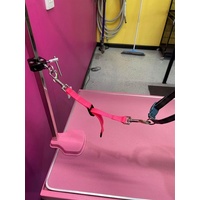 Quinns Groomers Assist Rig - Universal Clamp and ORANGE Strap