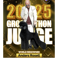 Groomathon Seminar - 17th November 2025 - Scissors & Style: The Anders Rossell Experience