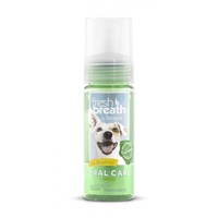 Fresh Breath Oral Care Fresh Mint Foam 133ml