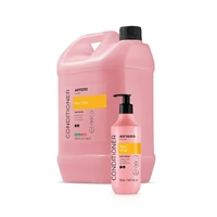 Artero Ikon Vital Conditioner 300ml