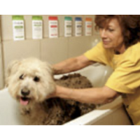 Pet Esthe Thalassotherapy Series Massage Treatment  - Fuyodei Natural Mud exclusive natural mud and seawater