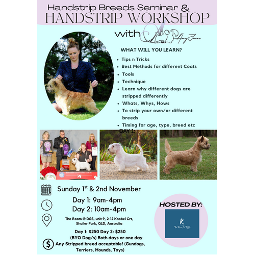 Amy Jonas Handstrip Workshop - Nov 1st & 2nd